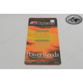 Boyesen Power reed kit Maico from 1981 onwards