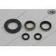 engine seal ring kit KTM 250 1981-1983 aircooled