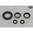 engine seal ring kit KTM 125 LC (GS/MC) 1982-1983