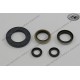 André Horvath's - enduroklassiker.at - Gaskets and Seals - engine seal ring kit