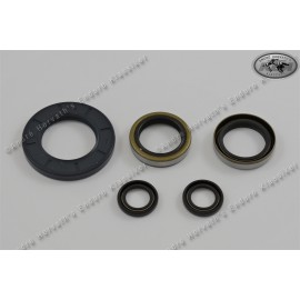 André Horvath's - enduroklassiker.at - Gaskets and Seals - engine seal ring kit