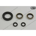 engine seal ring kit KTM 125 1976-79, KTM 175 1972-80