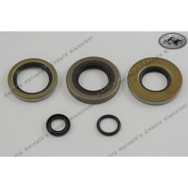 Motorsimmeringsatz KTM 350-390/420/495 79-84