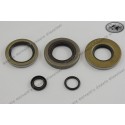 engine seal ring kit KTM 350/390/420/495 79-84