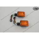 Mini Blinkers Pair black short 20mm 12V 21W