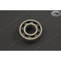 Ball Bearing 613742