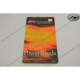 Boyesen Reed Kit KTM 125 1980-1983