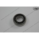 crankshaft bearing