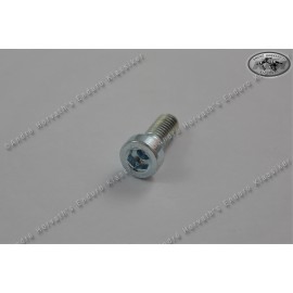 Cheese Head  Screw DIN 6912 Allen 6x16