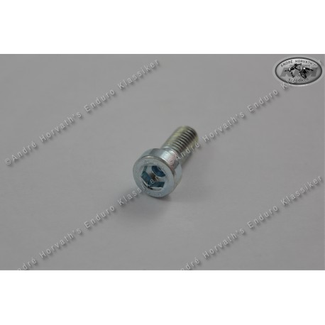 allen head screw M8x20