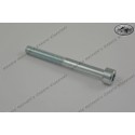 allen head screw M8x65