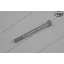 Hexagon Head Screw M10x110