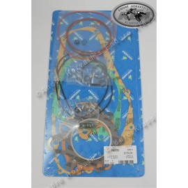 gasket kit für KTM Rotax 500 4-stroke