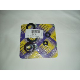 Oil Seal Ring Kits